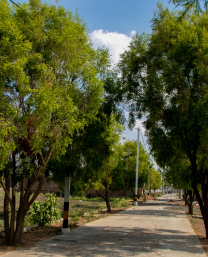 Gallery Image 6
